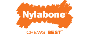 Nylabone
