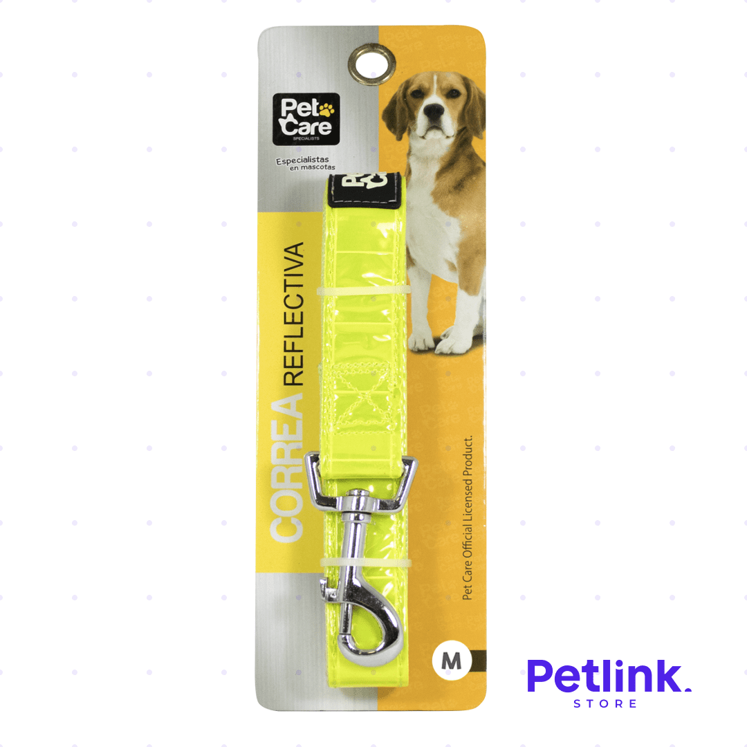 PETCARE CORREA DE NYLON PARA PERRO RAZA MEDIANA MODELO LED REFLECTIVO